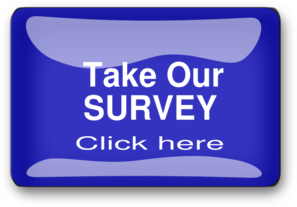 Blue Survey Button